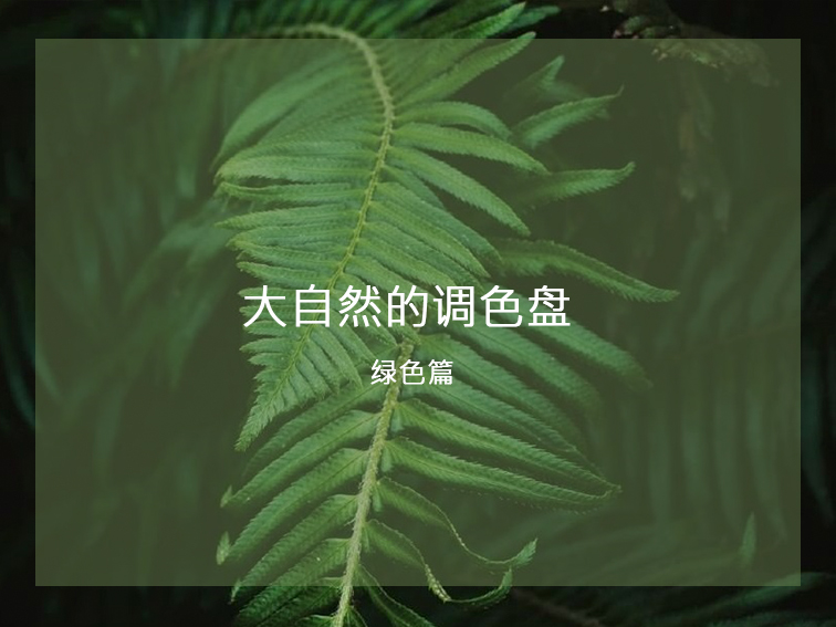 大自然的调色盘 - 绿色篇